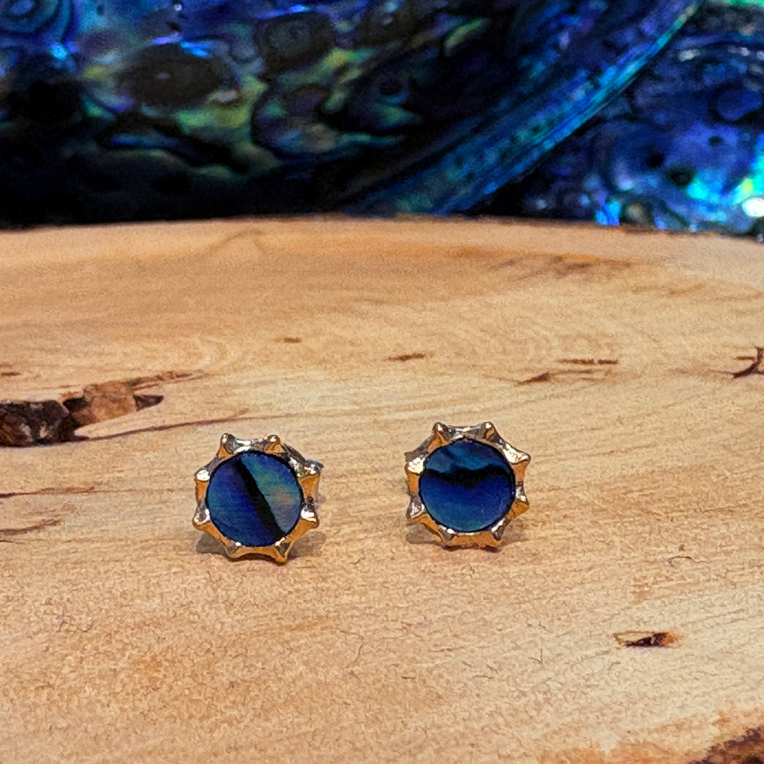 Star Paua Stud Earrings
